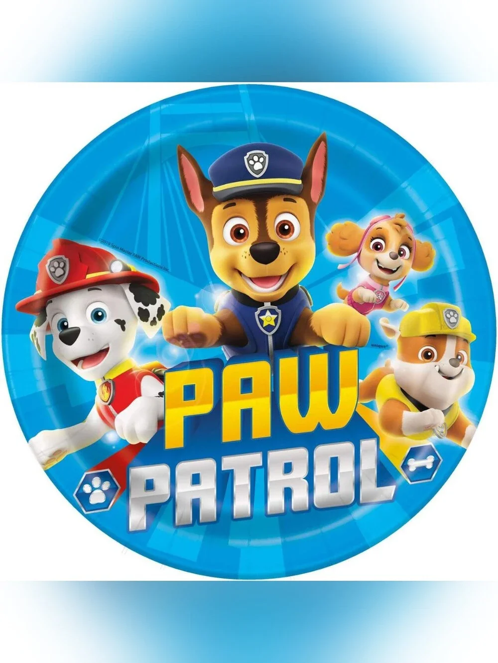 Paw Patrol Party Box!